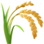 :ear_of_rice: 🌾