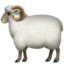:sheep: 🐑