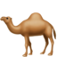 :dromedary_camel: 🐪