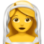 :bride_with_veil: 👰