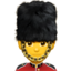 :male-guard: 💂♂️