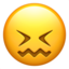 :confounded: 😖