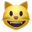 :smiley_cat: 😺