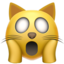 :scream_cat: 🙀