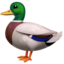 :duck: 🦆
