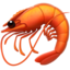 :shrimp: 🦐