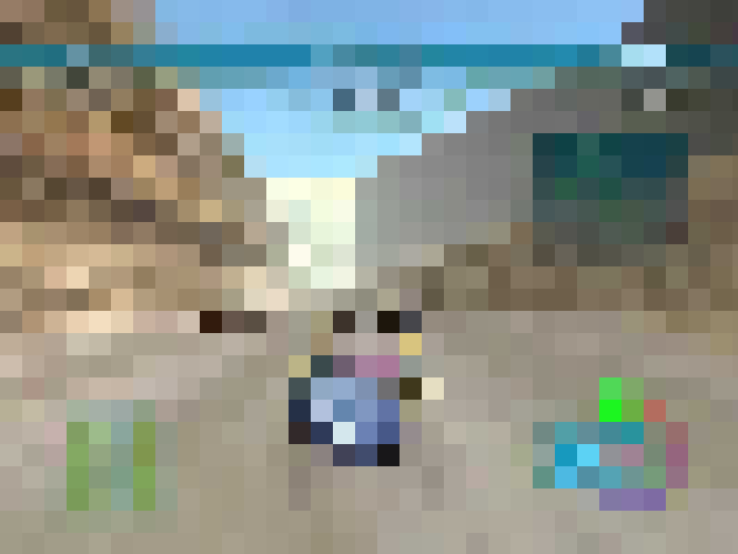 imageonline-co-pixelated (2).png